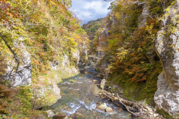 Autumn leaves at Naruko Gorge, Miyagi Prefecture