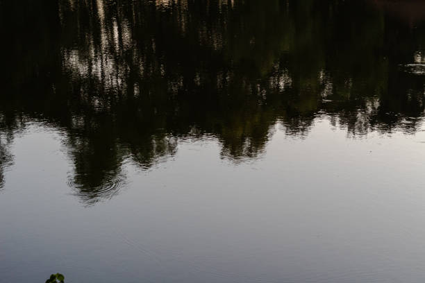 Reflection in the water with reflection of the sky and trees