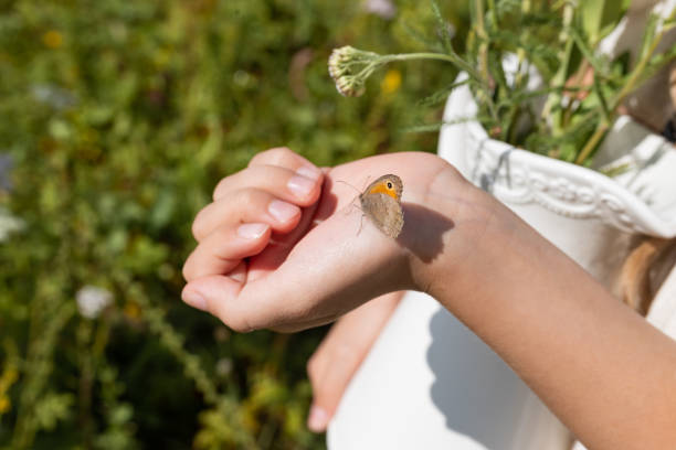 istock not a bright butterfly on the hand 2168011427