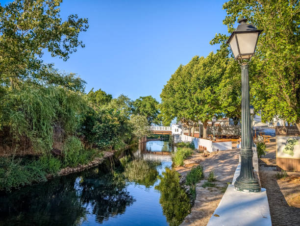 istock Sunlit Canal with Reflections and Trees in Alte, Algarve 2168013833