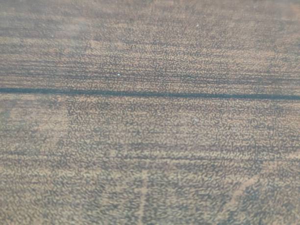 istock close up of a wooden board texture 2168014544