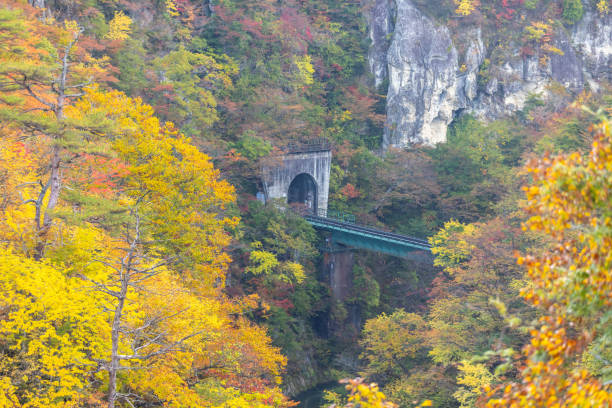 istock Autumn leaves at Naruko Gorge, Miyagi Prefecture 2168015383