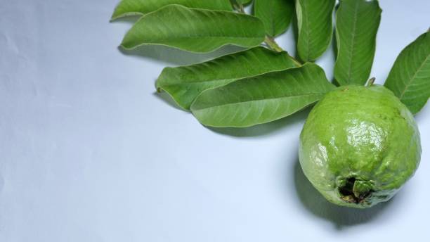 istock Fresh organic fruits 2168023385