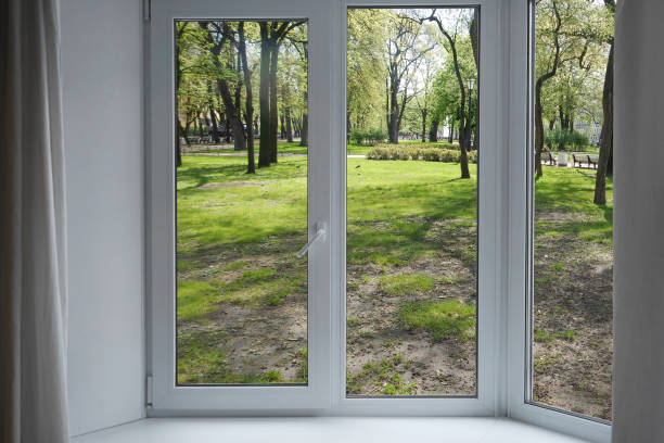 istock View from the window, green trees, landscape with forest. 2168030380
