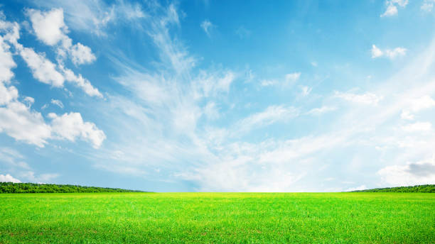 istock Summer landscape with green field and sky 2168035368