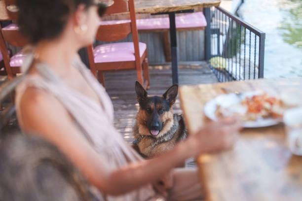 istock A woman on summer vacation having breakfast next to river. 2168041181