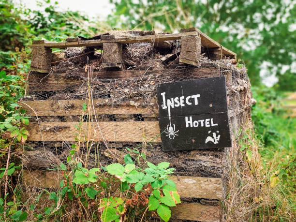 istock Insect hotel at the nature reserve 2168042855