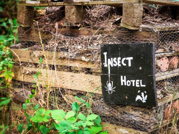 Insect hotel at the nature reserve