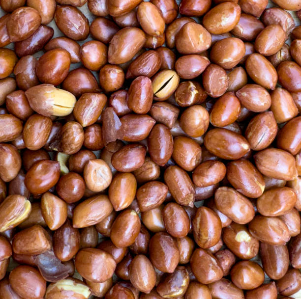 istock tasty red dried peeled peanuts placed in pile on surface 2168043657