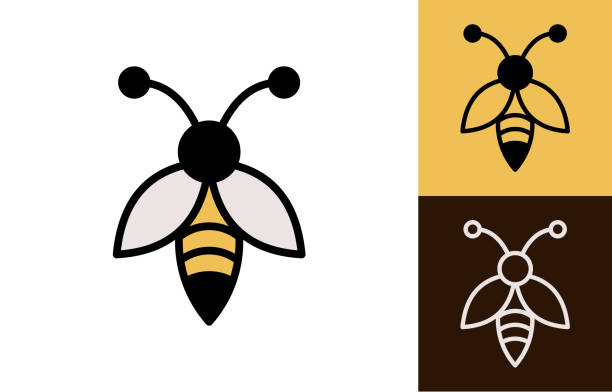 Bee Icon Set with Three Color Variations A vector illustration of a bee icon in three different color styles, showcasing simplicity and modern design. Ideal for use in branding, design, or educational materials. black-and-white-bumble-bee stock illustrations