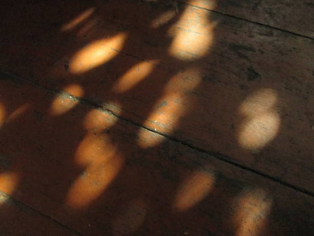 Sunlight streams through foliage, casting a mosaic of warm dappled patterns on a rustic wooden floor, enhancing the peaceful ambiance of the room during early afternoon.