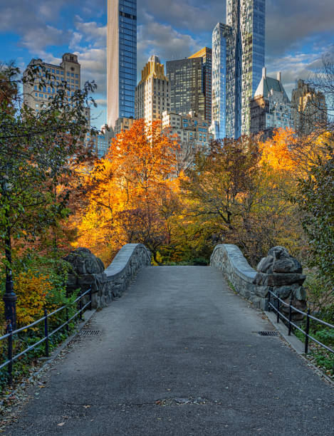 istock Gapstow Bridge in Central Park in autumn 2168048180