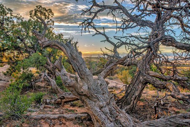 Canyonlands National Park is an American national park located in southeastern Utah near the town of Moab.