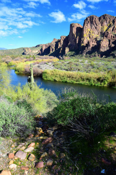 istock Salt River Recreation Area Arizona 2168051883