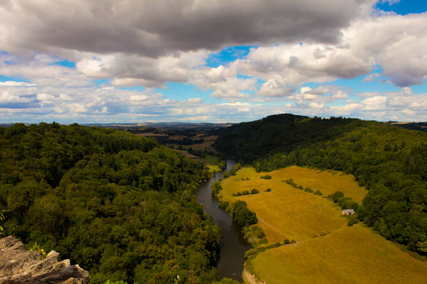 istock Forest of Dean 2168056922
