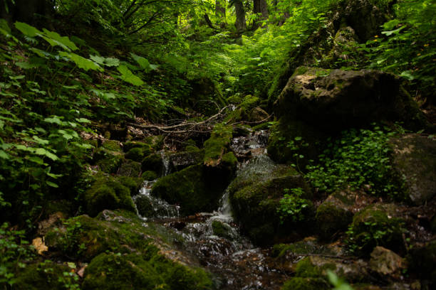 istock Beautiful mountain landscape in early spring. 2168057983