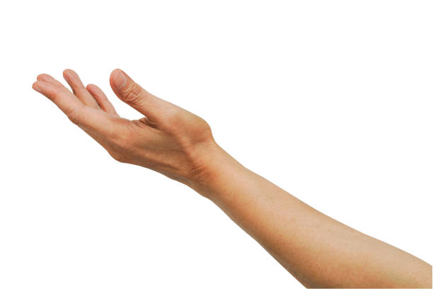 Asian woman beautiful left hand isolated on white background with clipping path.