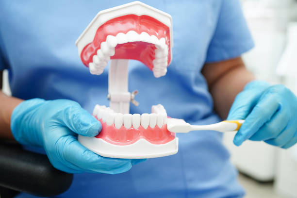 istock Doctor clean teeth denture with toothbrush for teach patient and dentist studying about dentistry. 2168059856