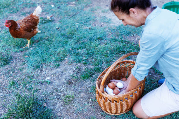 A woman is holding a handful of eggs.