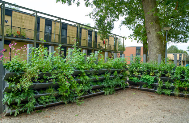 istock Vertical gardening with a green wall for climate adaptation. 2168060658