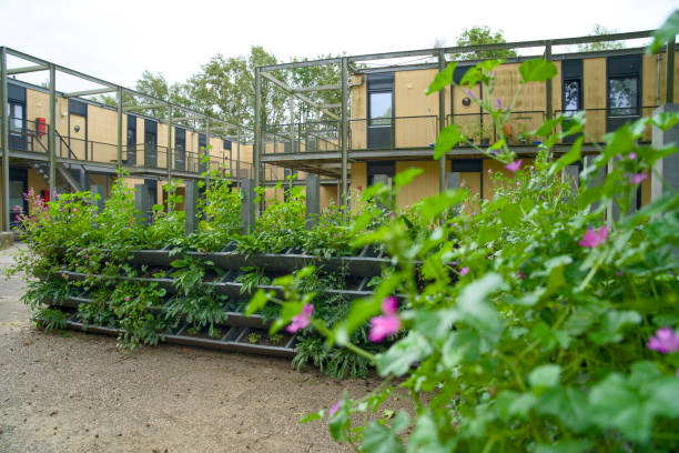 istock Vertical gardening with a green wall for climate adaptation. 2168060683
