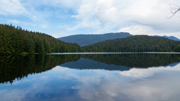 istock Belcarra regional park 2168067678