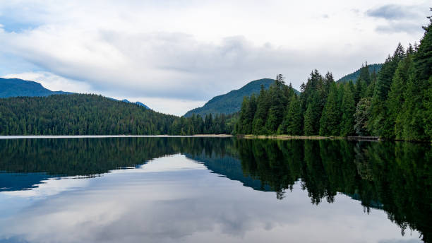 istock Belcarra regional park 2168067697