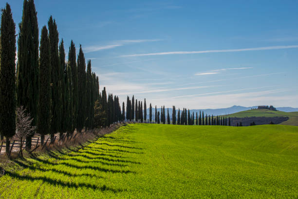 istock Hillside Landscape of Val d'Orcia 2168070328