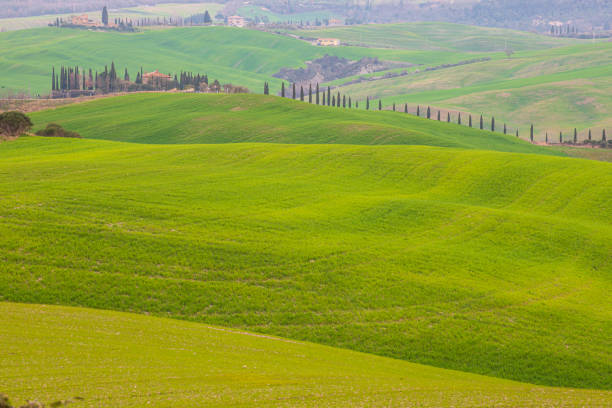 Val d'Orcia, toscna, Italy, Europe