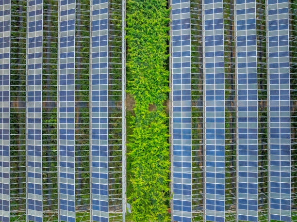 istock Solar power station in the agricultural field 2168073105