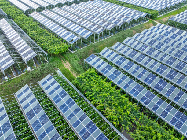 istock Solar power station in the agricultural field 2168073174