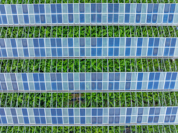 istock Solar power station in the agricultural field 2168073194