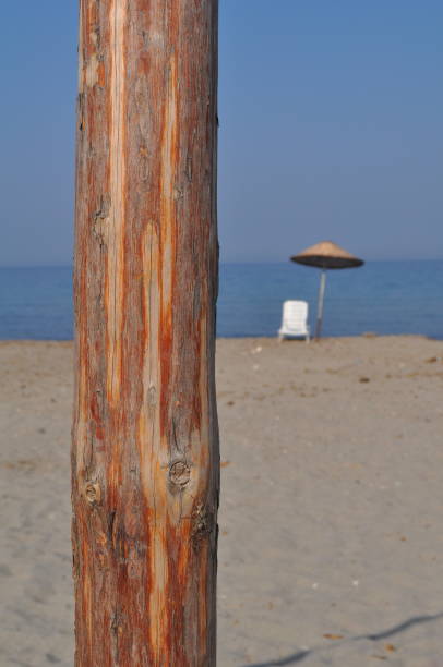 istock Let's go to the beach 2168082323