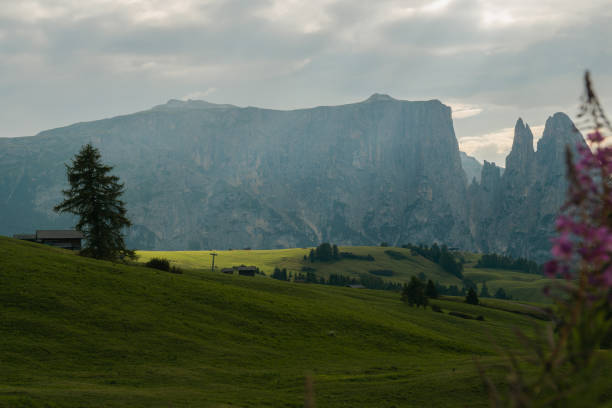 The view of a valley in italy