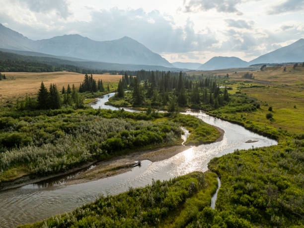 istock Aerial view of wild river flowing from mountains 2168083078