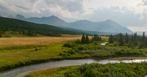 istock Aerial view of wild river flowing from mountains 2168083221