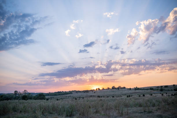 Sunset on an agricultural field.