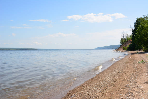 istock a beach with water and a few trees on the horizon copy space 2168087801