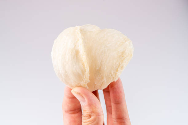 istock Raw edible birds nest 2168091736
