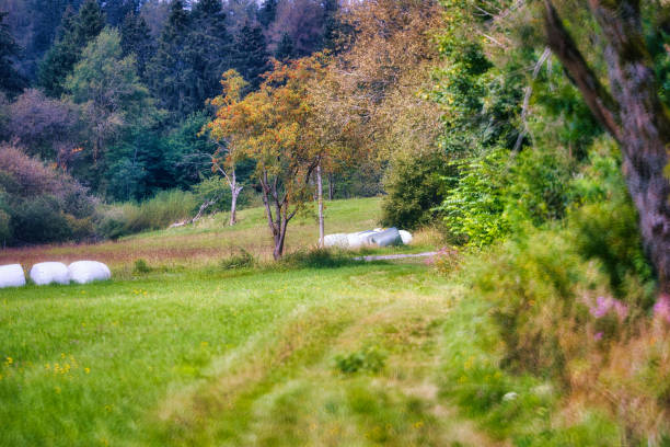 on the Rennsteig in the Thuringian Forest