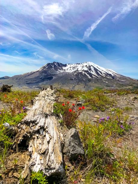 istock Mount St. Helens Volcano USA 2168094078