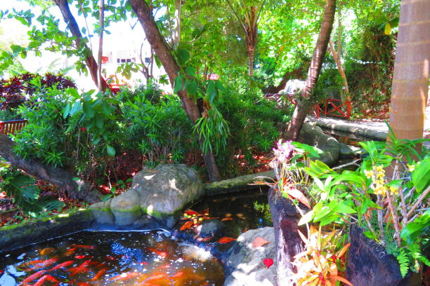 istock Waterfall and Pond on Caribbean Island 2168094102