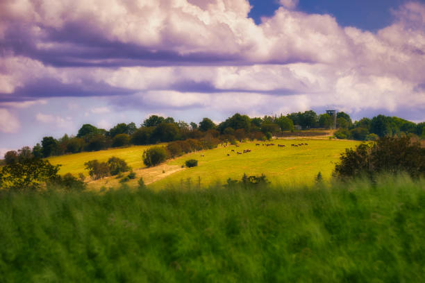 on the Rennsteig in the Thuringian Forest