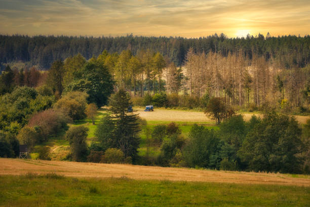 on the Rennsteig in the Thuringian Forest