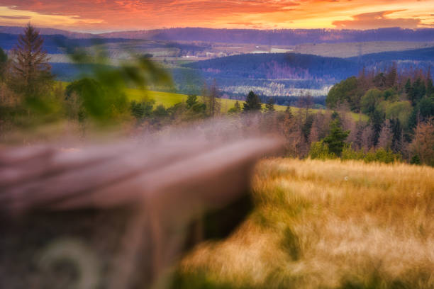on the Rennsteig in the Thuringian Forest