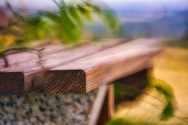 Wooden bench in the park with palms on the background. Selective focus.