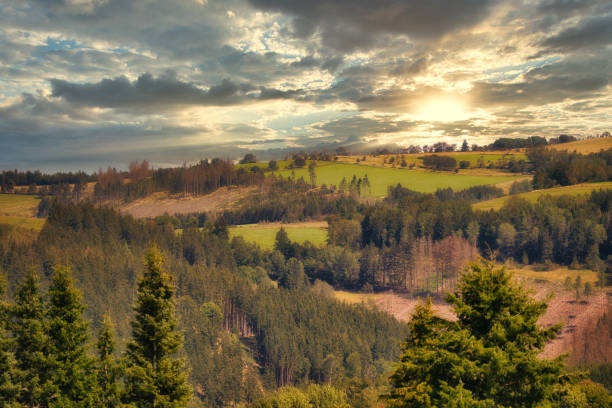 on the Rennsteig in the Thuringian Forest