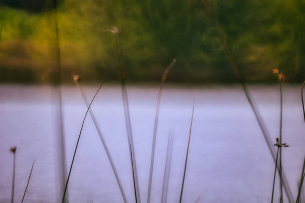 istock on the Rennsteig in the Thuringian Forest 2168095064