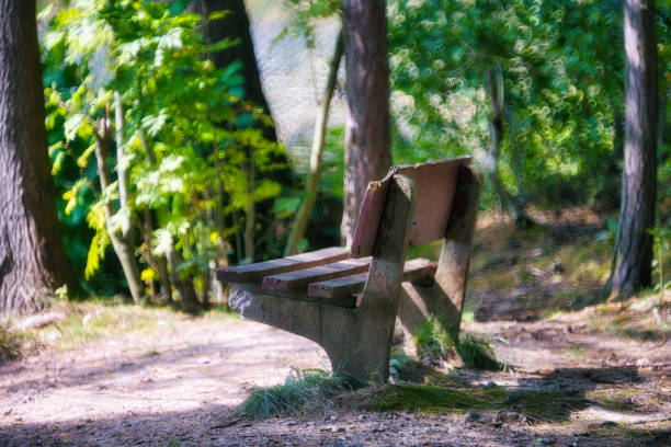 on the Rennsteig in the Thuringian Forest