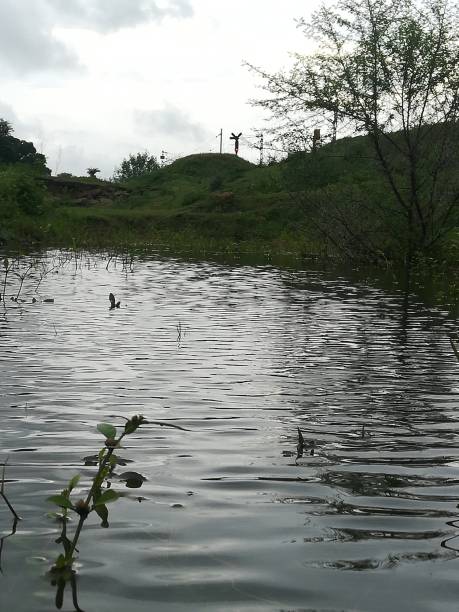 istock The canal view with full water with the grass field 2168095267